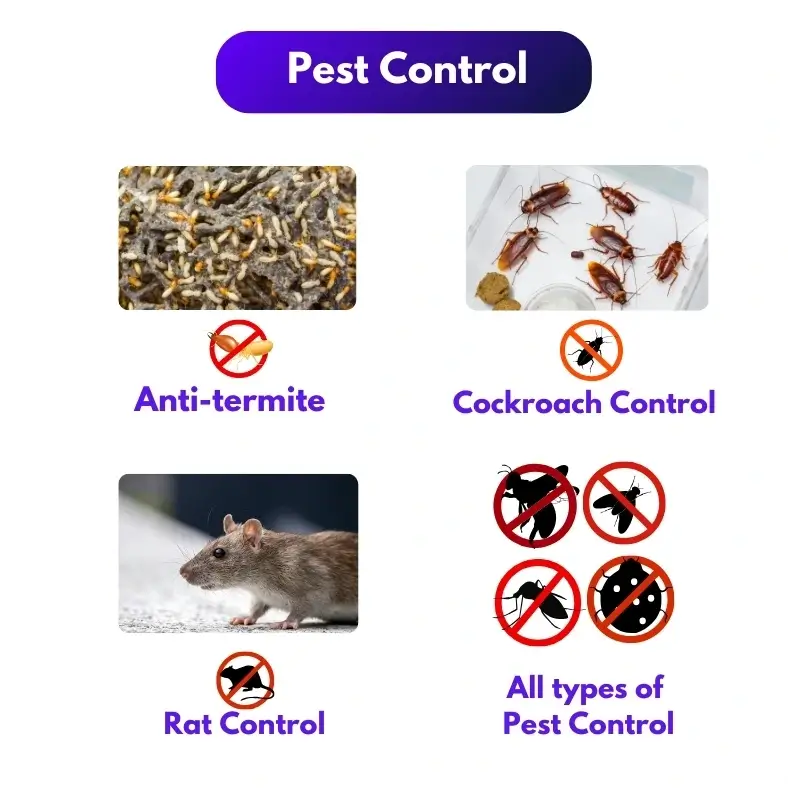 pest control in chennai