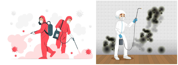 pest control services in Chennai