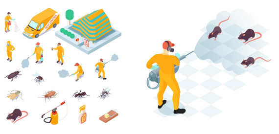 Chennai professional pest control services